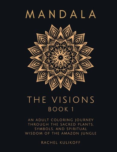 The Visions 1 by Rachel Kulikoff